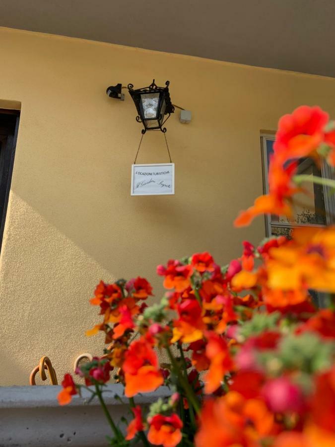 Il Giardino Segreto Apartment Pisa Ngoại thất bức ảnh